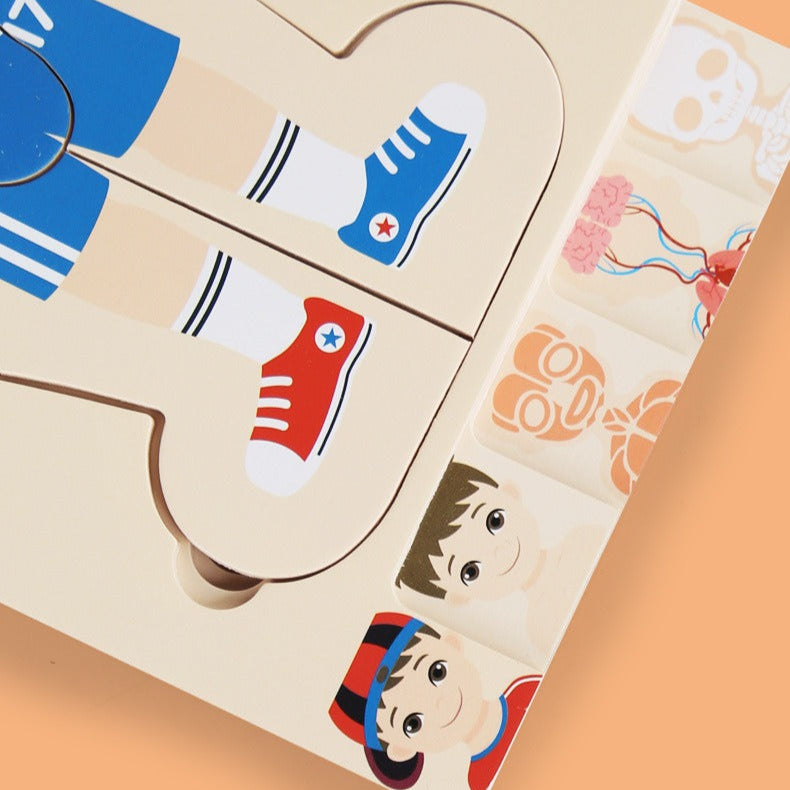 AnatoPuzzle – Puzzle Anatomique en Bois 5 Couches pour Enfants