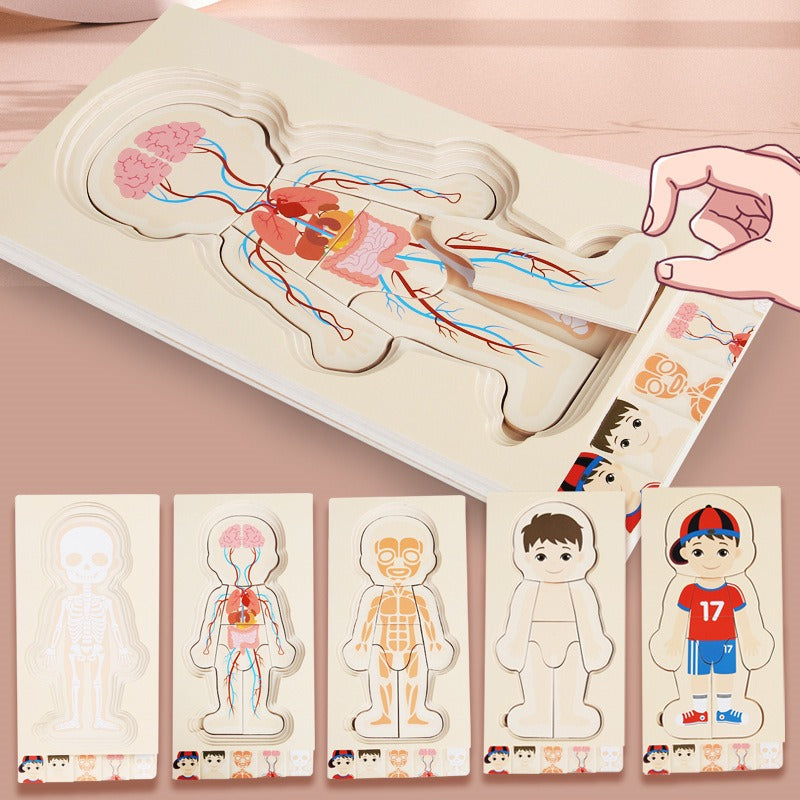 AnatoPuzzle – Puzzle Anatomique en Bois 5 Couches pour Enfants