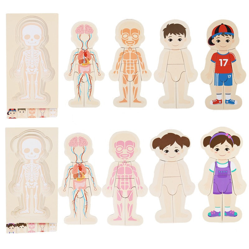AnatoPuzzle – Puzzle Anatomique en Bois 5 Couches pour Enfants