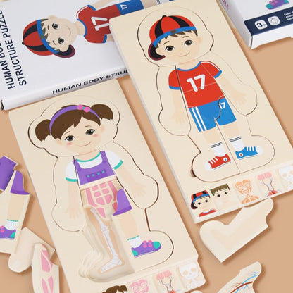AnatoPuzzle – Puzzle Anatomique en Bois 5 Couches pour Enfants