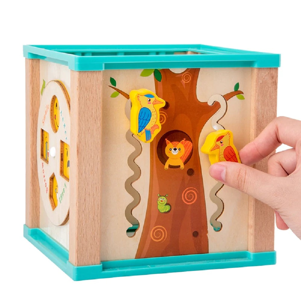 5 in 1 ActivityCube : Le Cube Multifonction 5 en 1